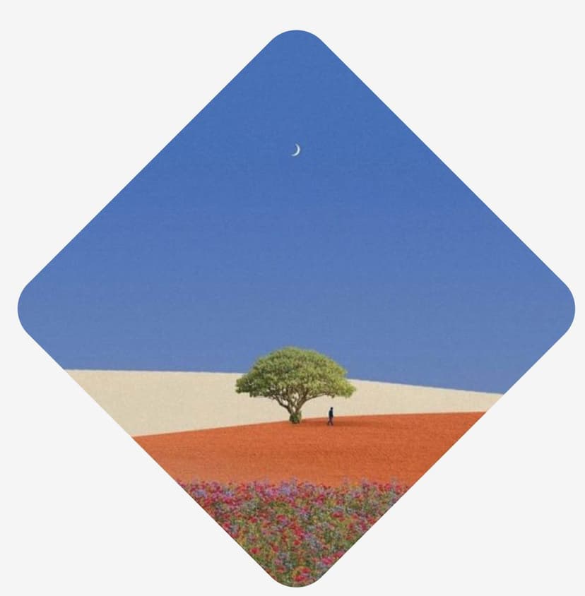 Lone tree in a desert landscape — take your claim forward with JustClaim